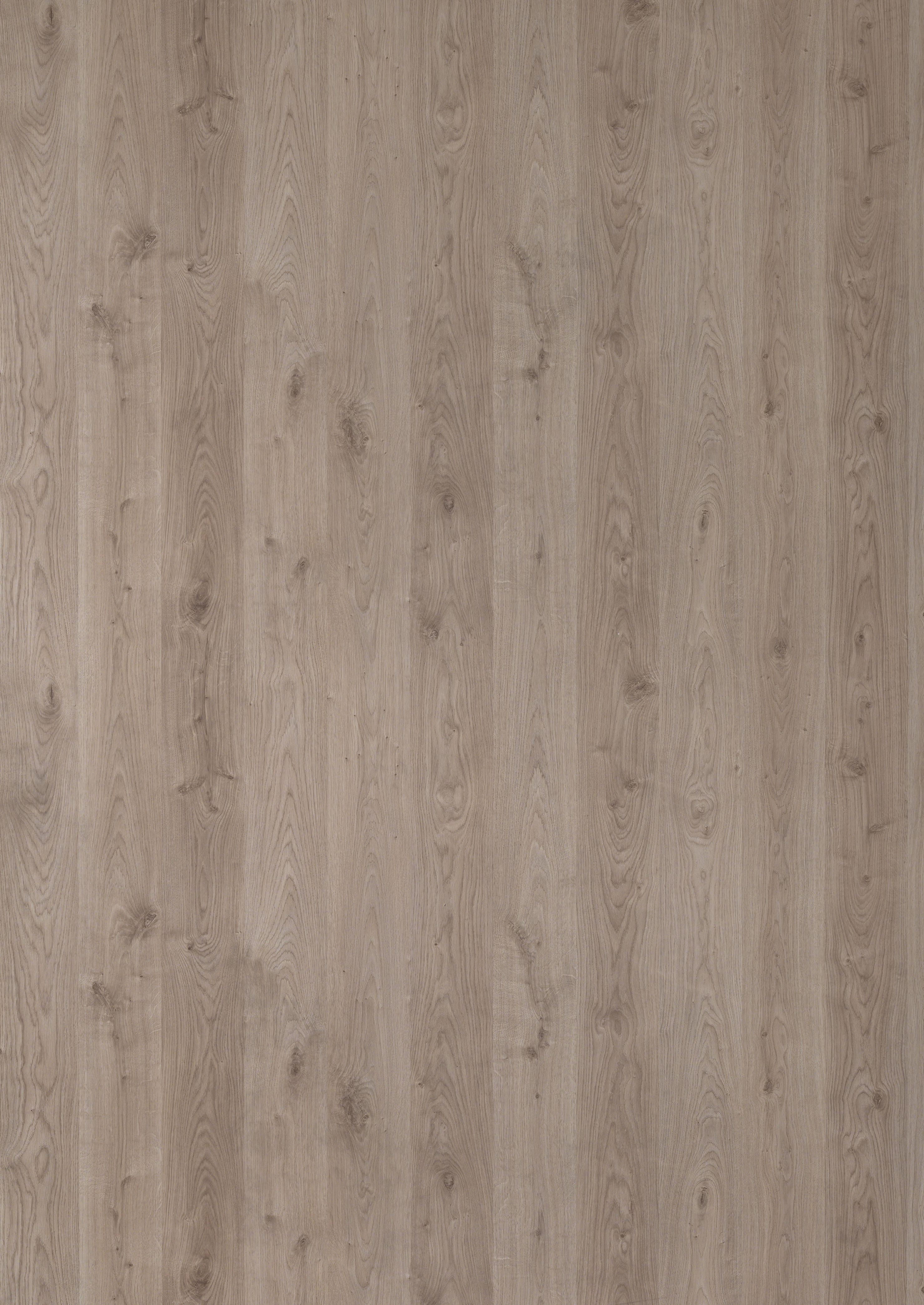 H162_Z5L_Minnesota Oak natural