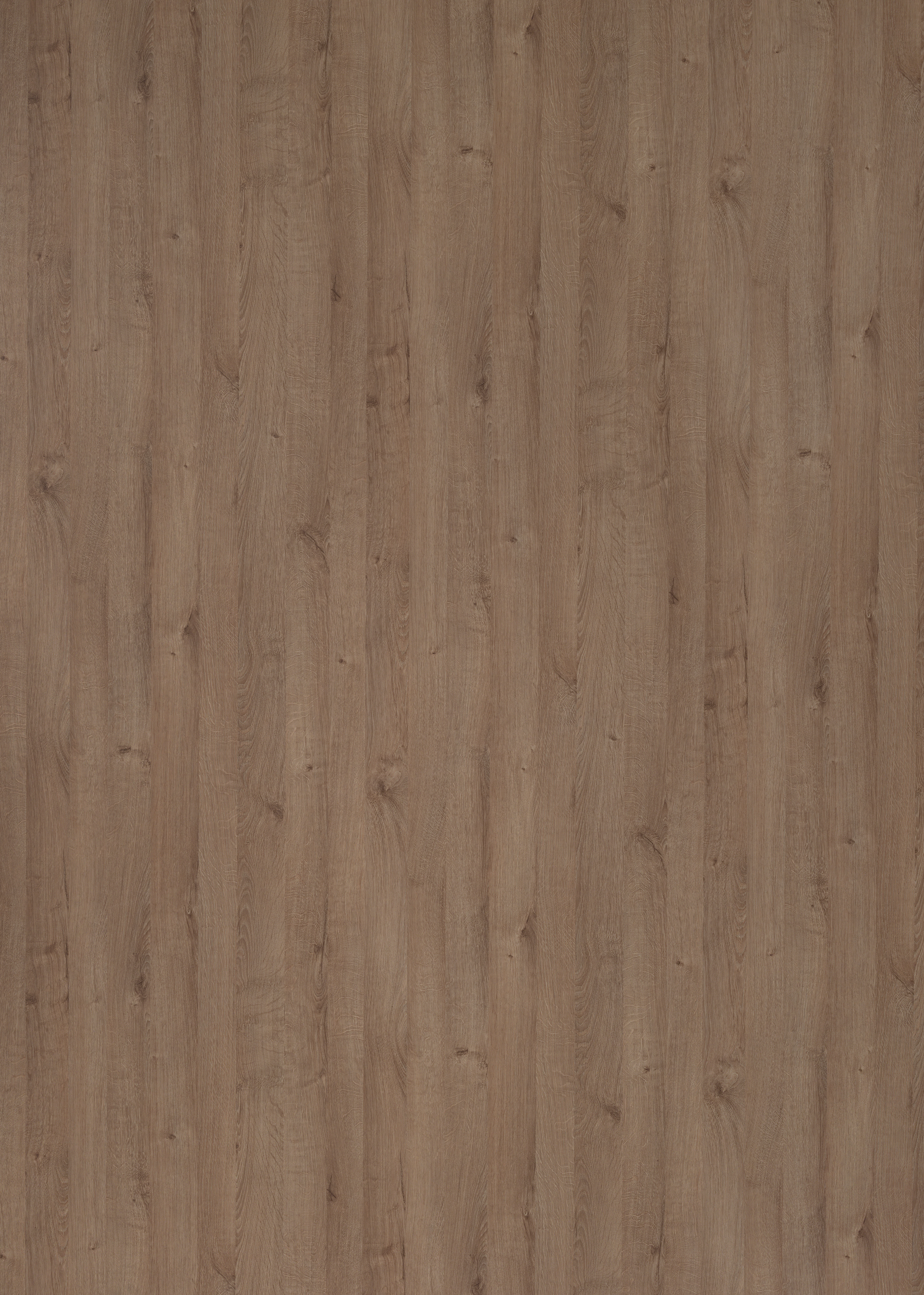 H437_V8A_Royal Oak natural