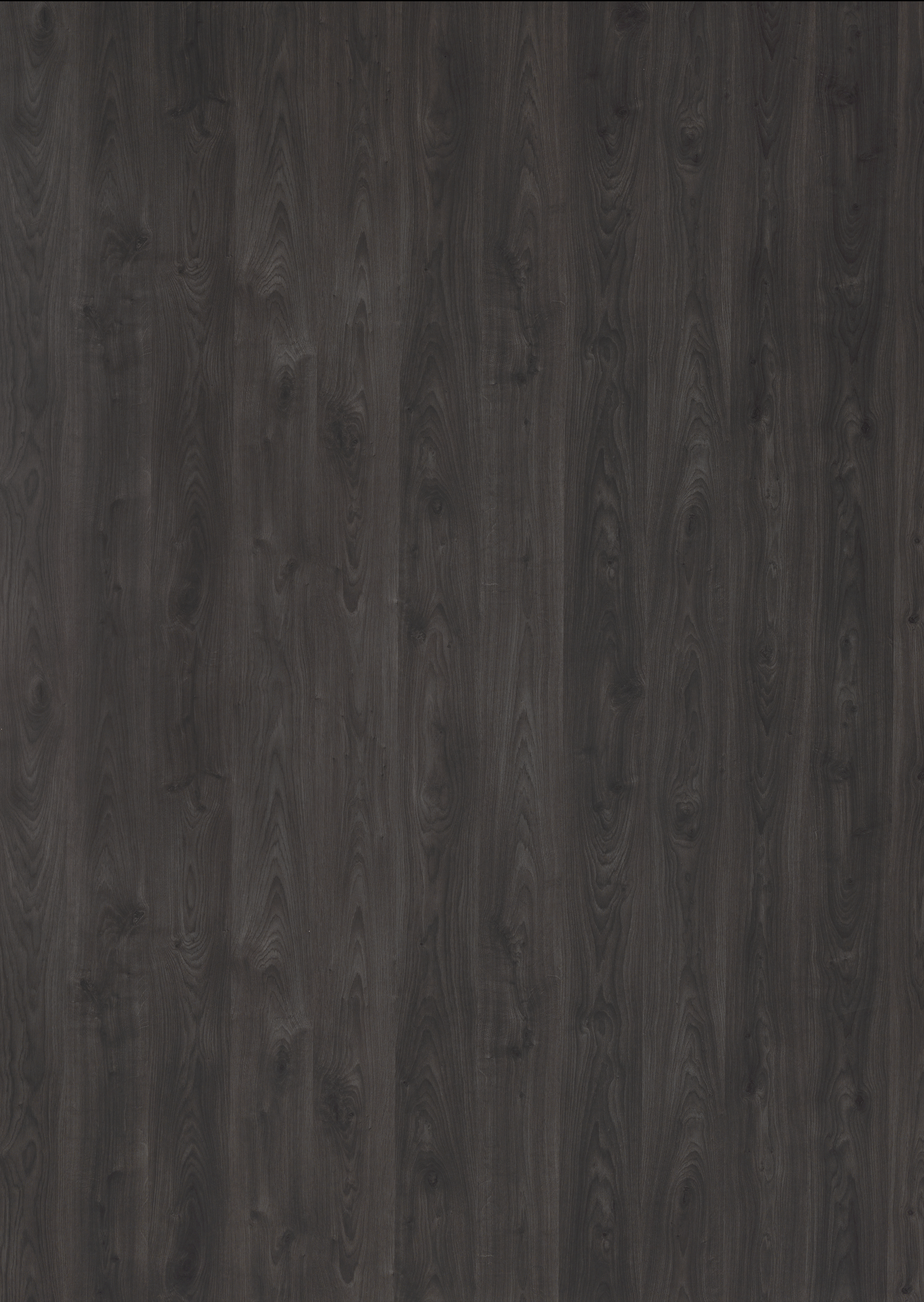 H441_Z5L_Minnesota Oak chocolat