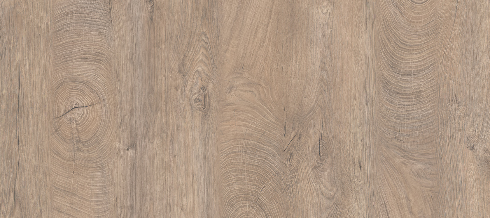 csm_K5412_Oak_Endgrain_fa7f051d4d